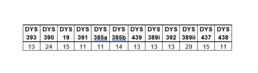 8 generací klusáčků - DNA
